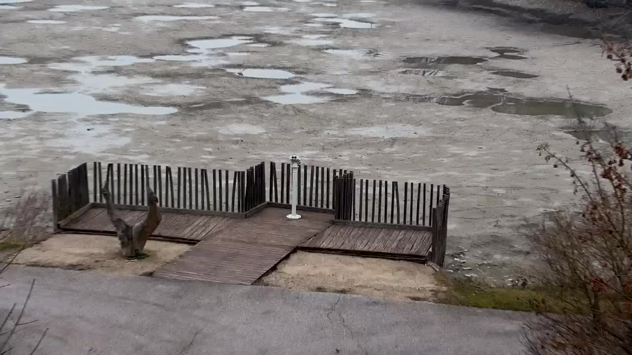 Webcam Ribnik Vrbje – Žalec