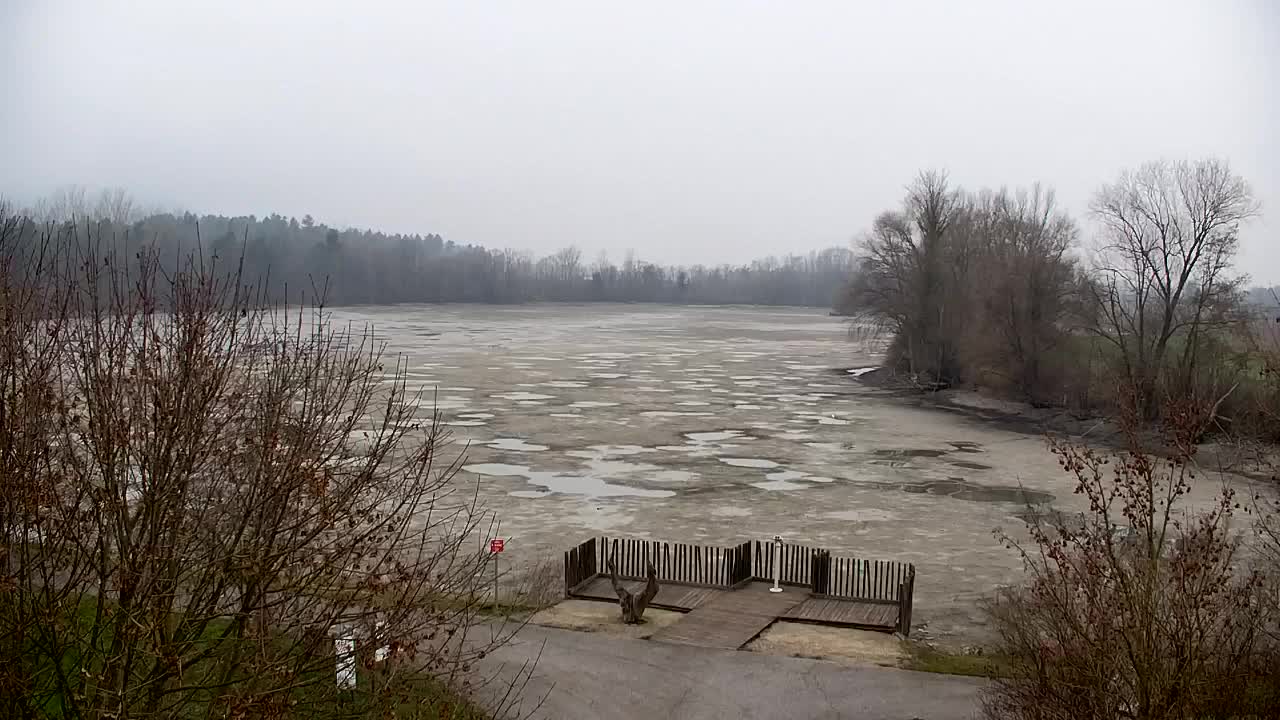 Spletna kamera Ribnik Vrbje – Žalec