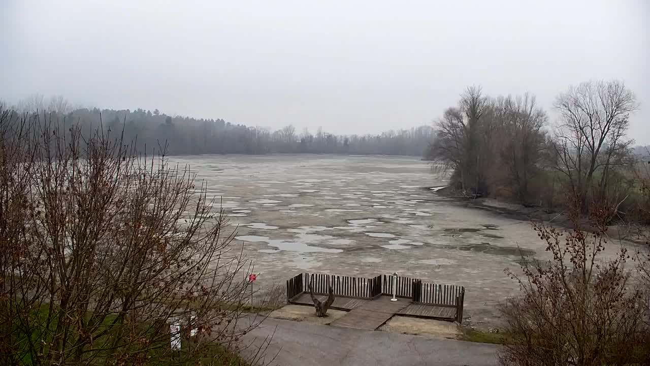 Webcam Ribnik Vrbje – Žalec