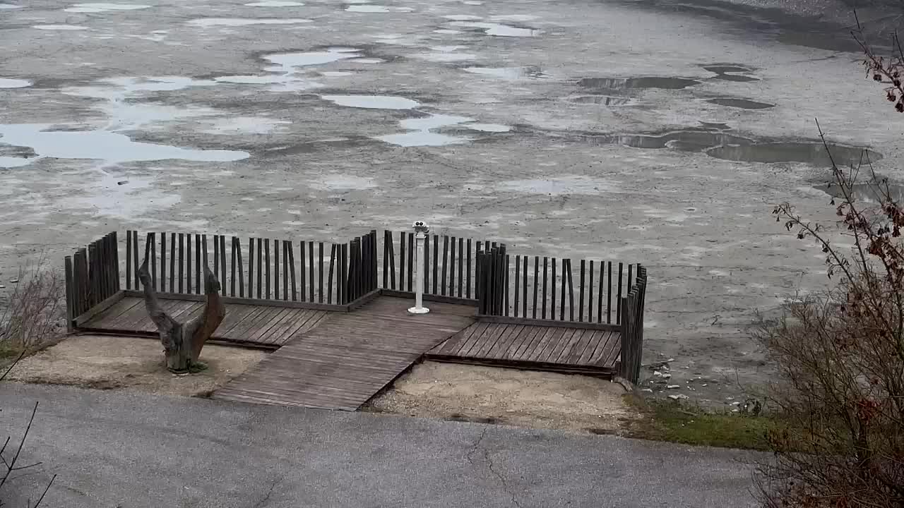 Webcam Ribnik Vrbje – Žalec