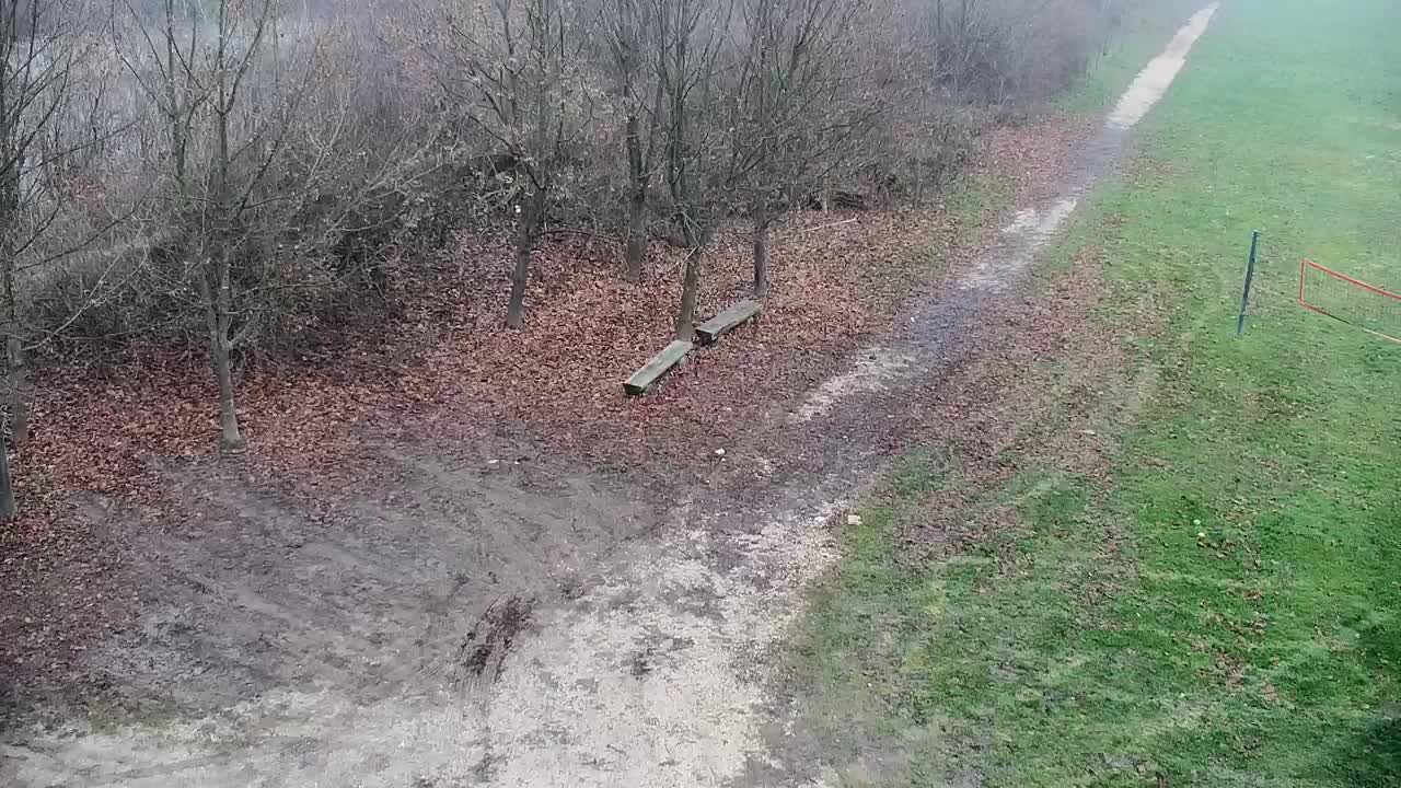 Spletna kamera Ribnik Vrbje – Žalec