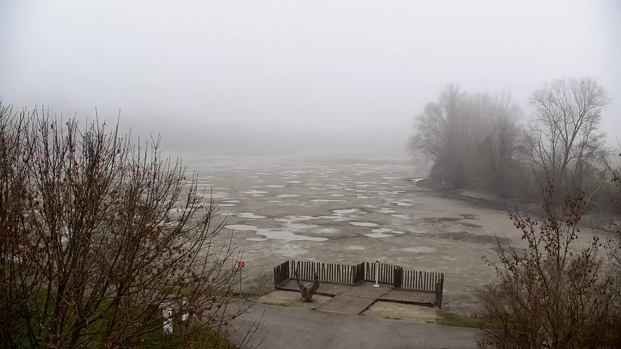 Spletna kamera Ribnik Vrbje – Žalec