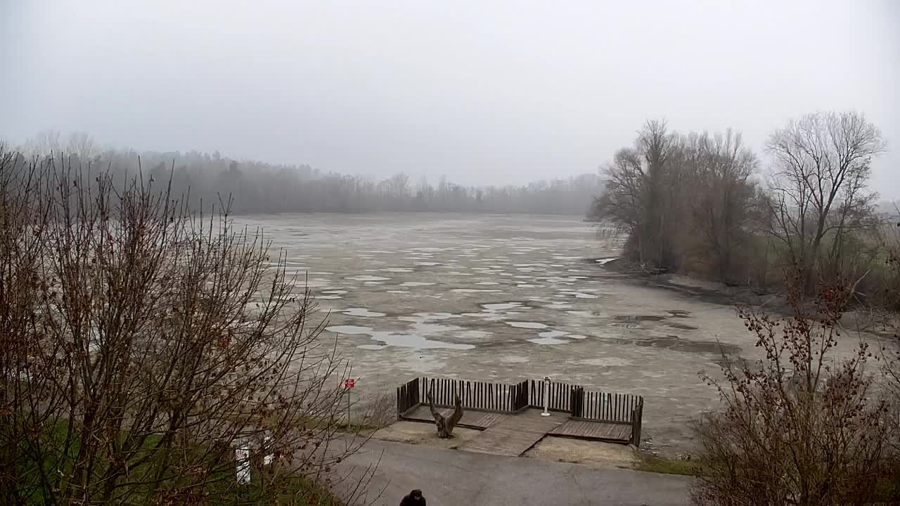 Webcam Ribnik Vrbje – Žalec