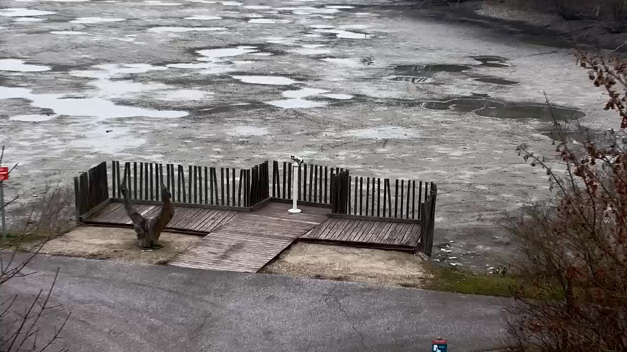 Webcam Ribnik Vrbje – Žalec