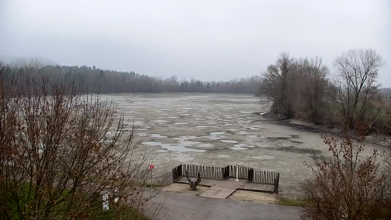 Webcam Ribnik Vrbje – Žalec