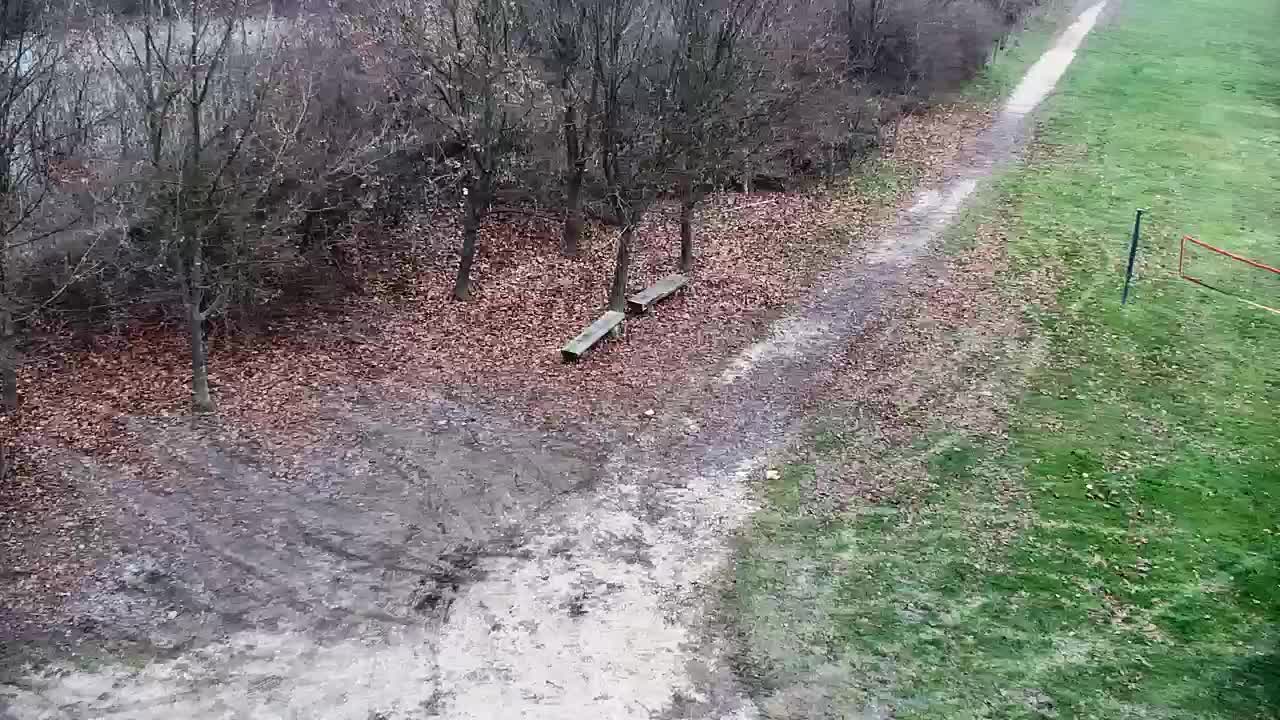 Spletna kamera Ribnik Vrbje – Žalec