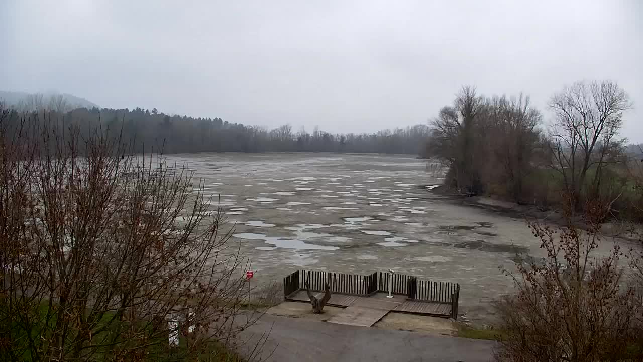 Webcam Ribnik Vrbje – Žalec