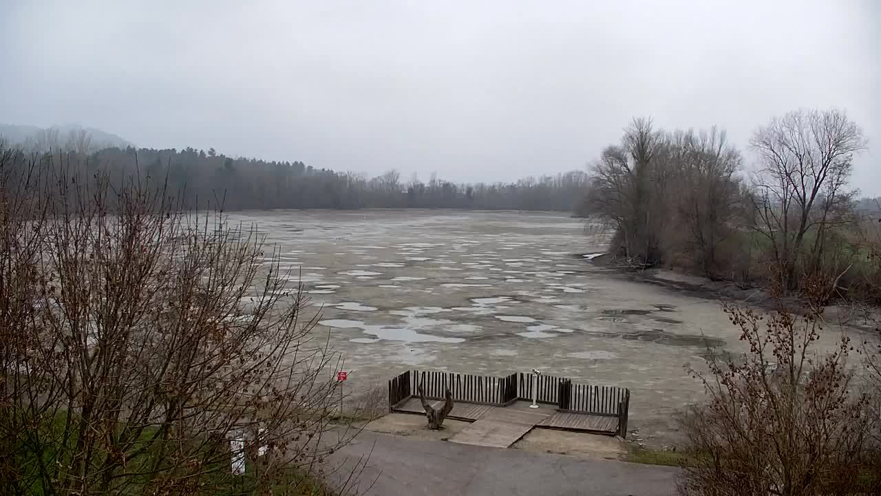 Webcam Ribnik Vrbje – Žalec