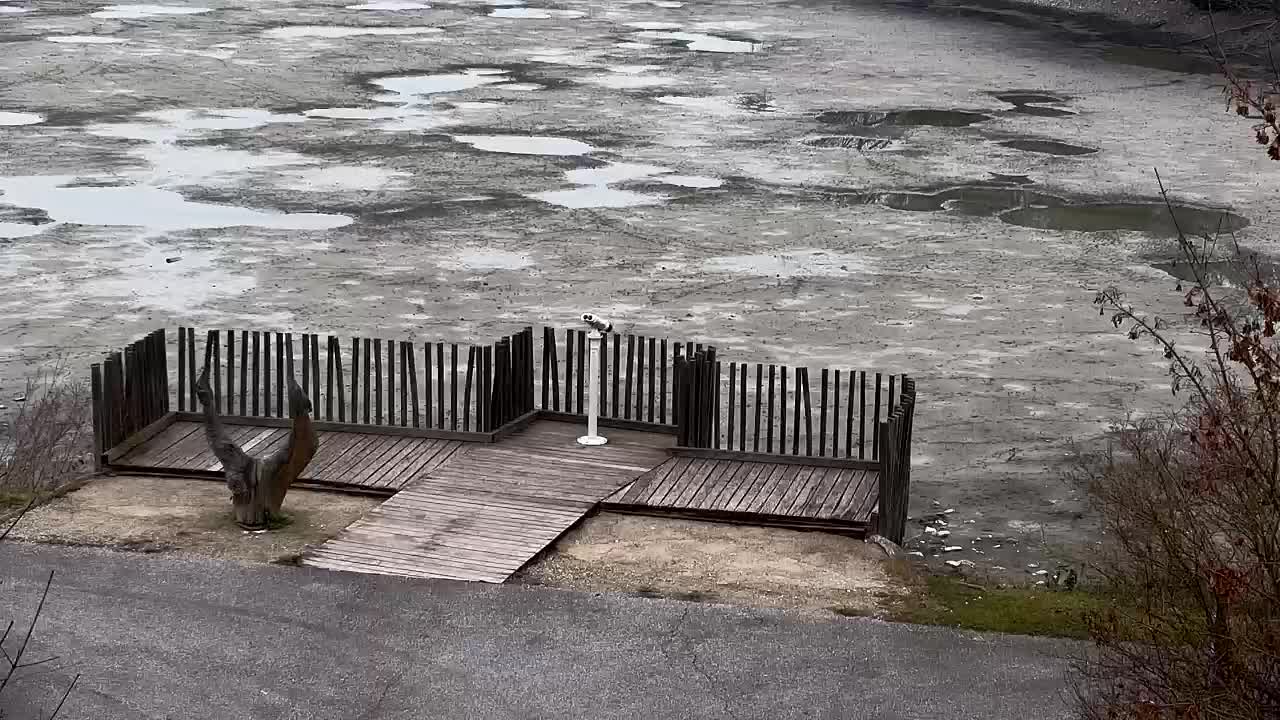 Webcam Ribnik Vrbje – Žalec