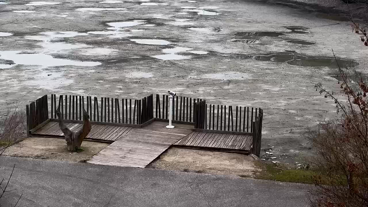 Webcam Ribnik Vrbje – Žalec