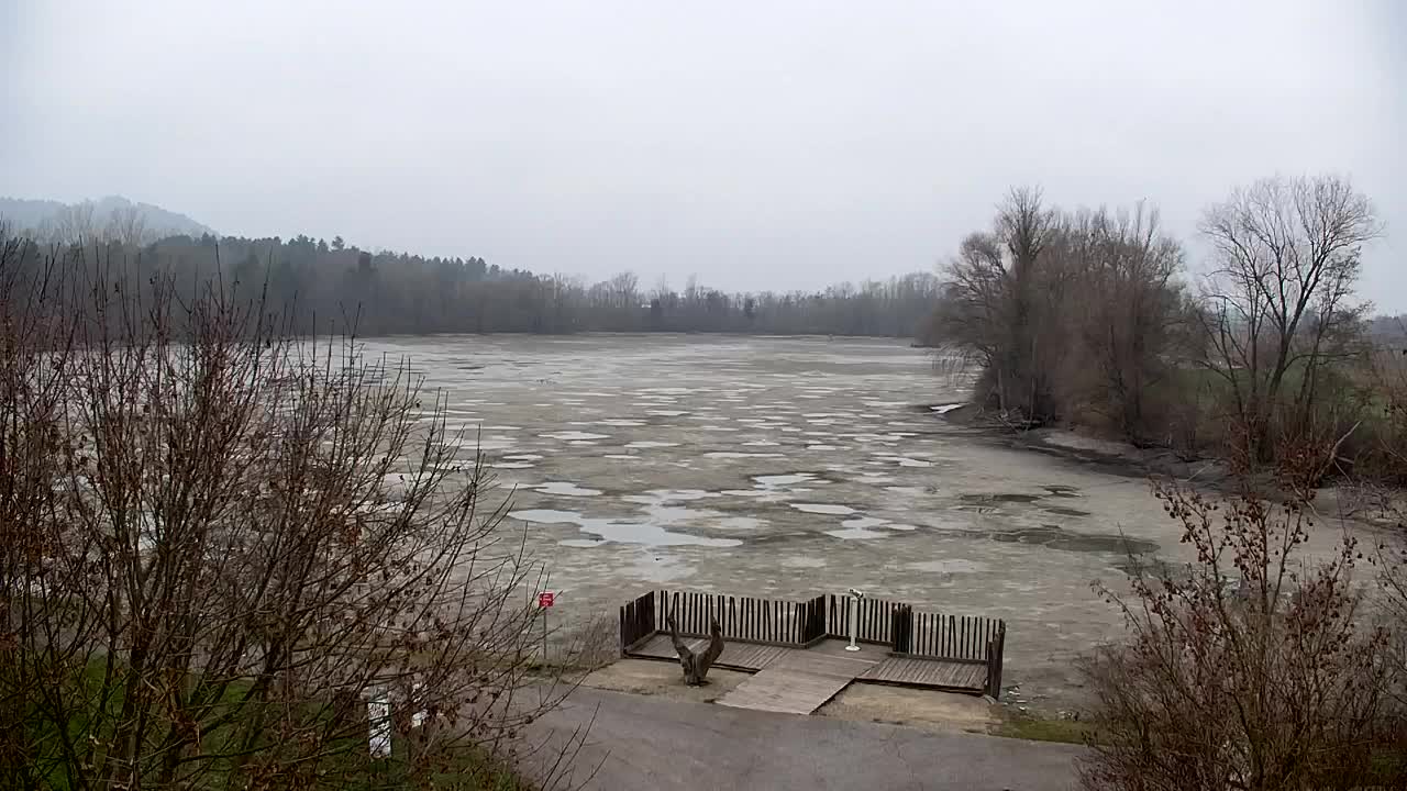 Webcam Ribnik Vrbje – Žalec