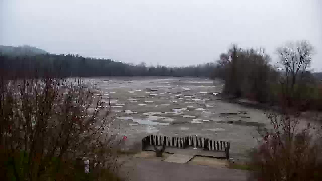 Webcam Ribnik Vrbje – Žalec