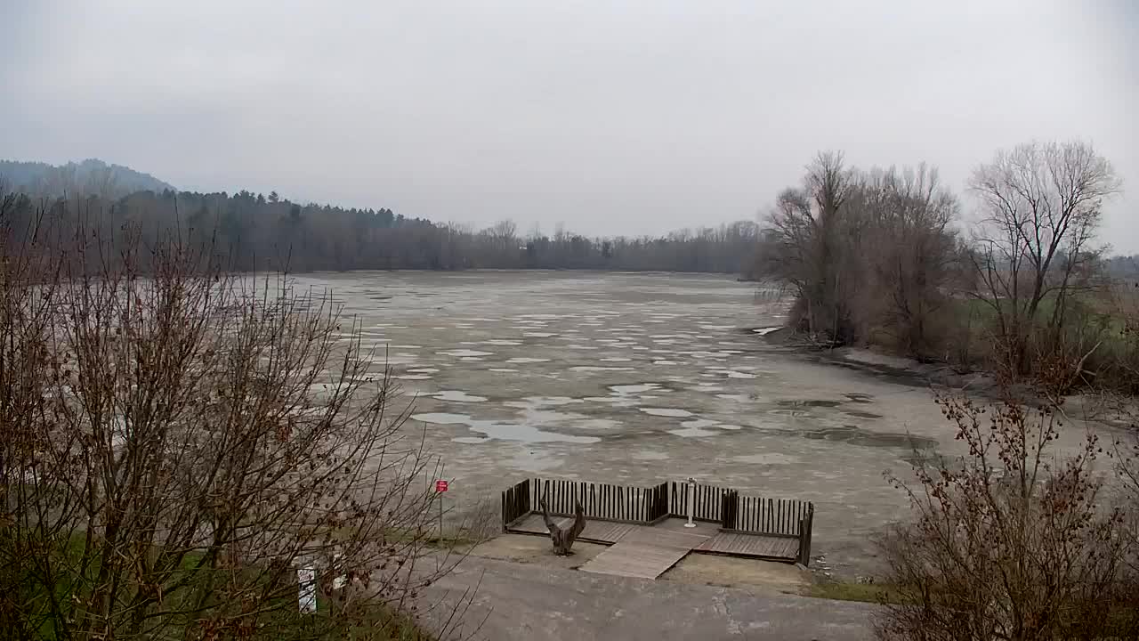 Webcam Ribnik Vrbje – Žalec