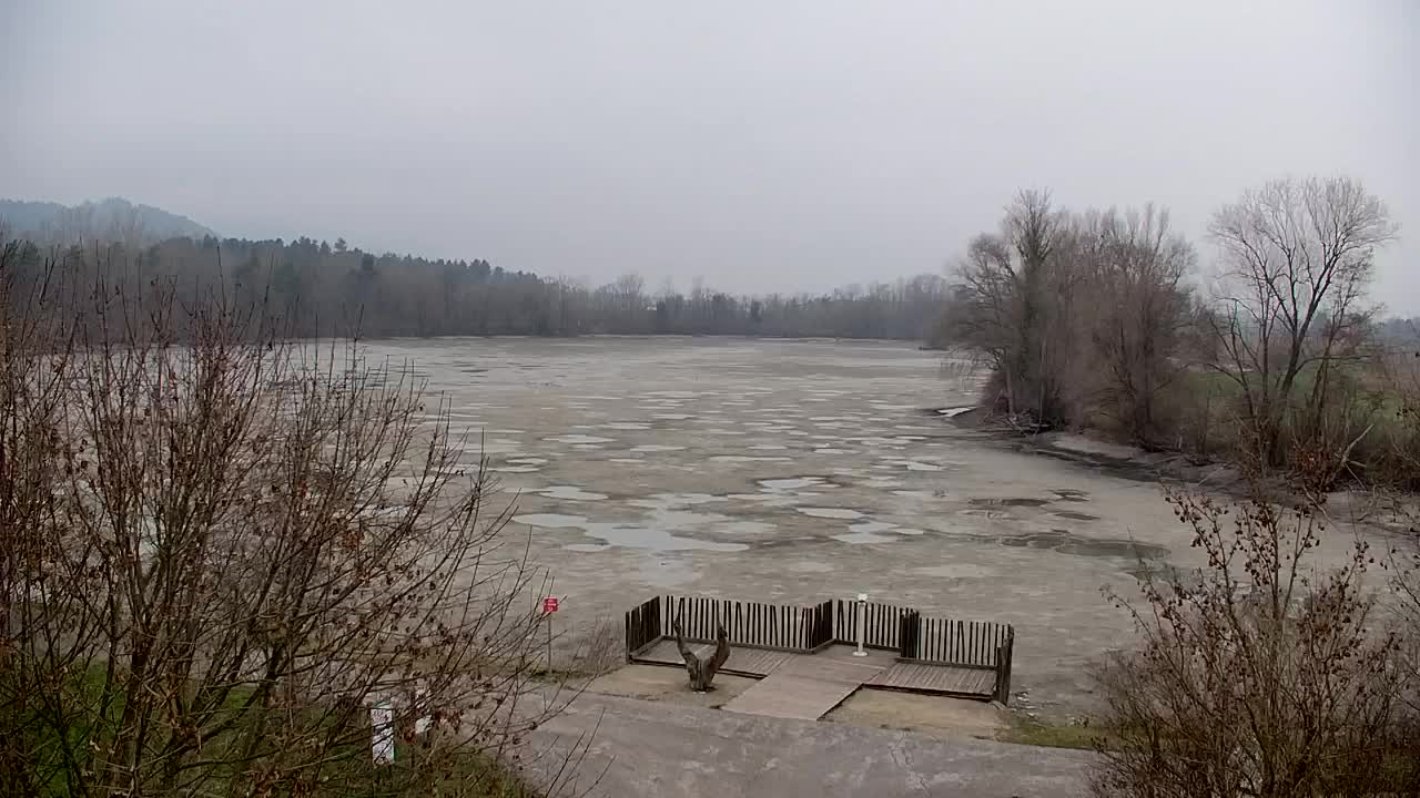 Web kamera Ribnik Vrbje – Žalec