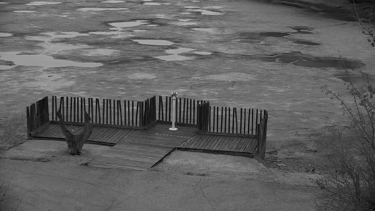 Spletna kamera Ribnik Vrbje – Žalec