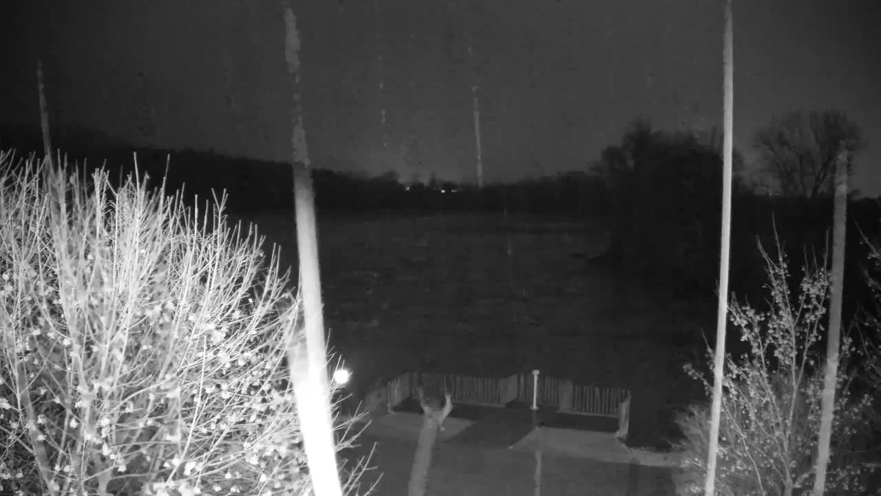 Spletna kamera Ribnik Vrbje – Žalec