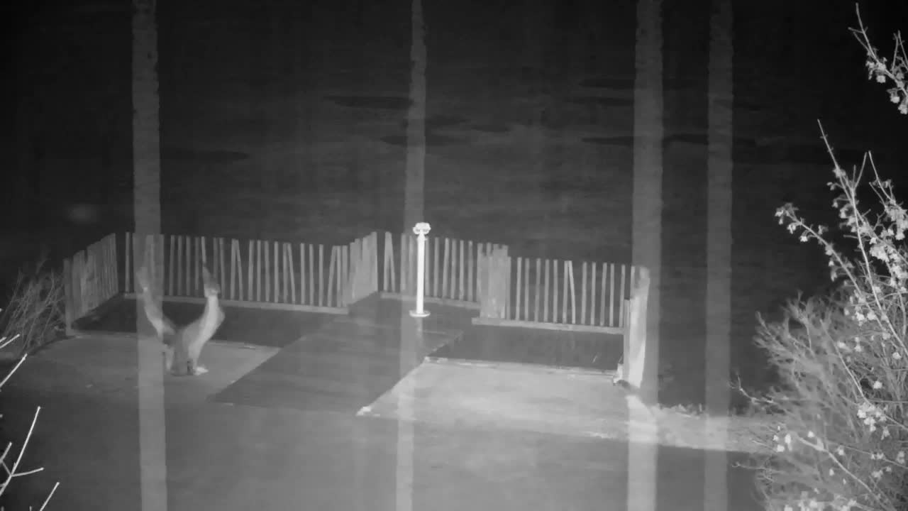 Webcam Ribnik Vrbje – Žalec