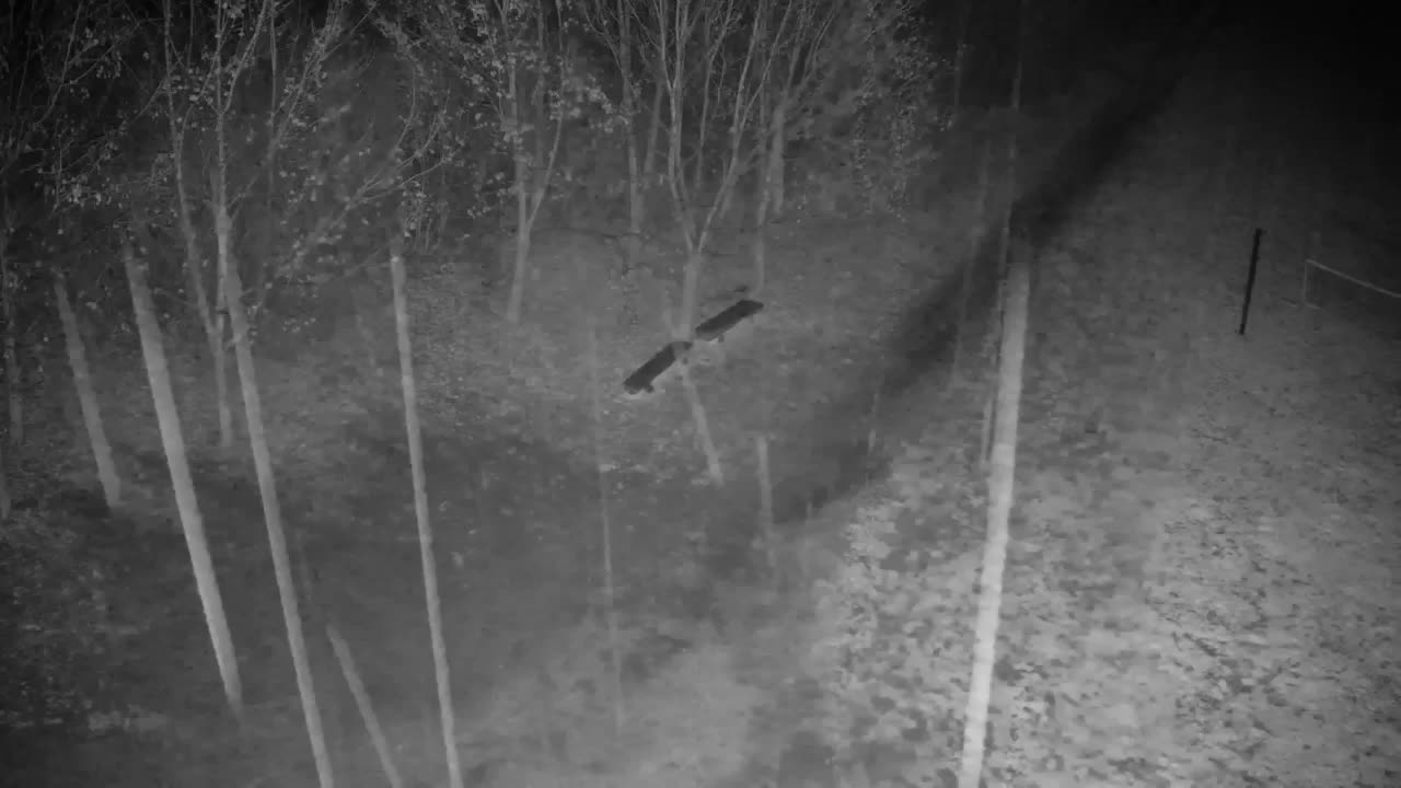 Spletna kamera Ribnik Vrbje – Žalec