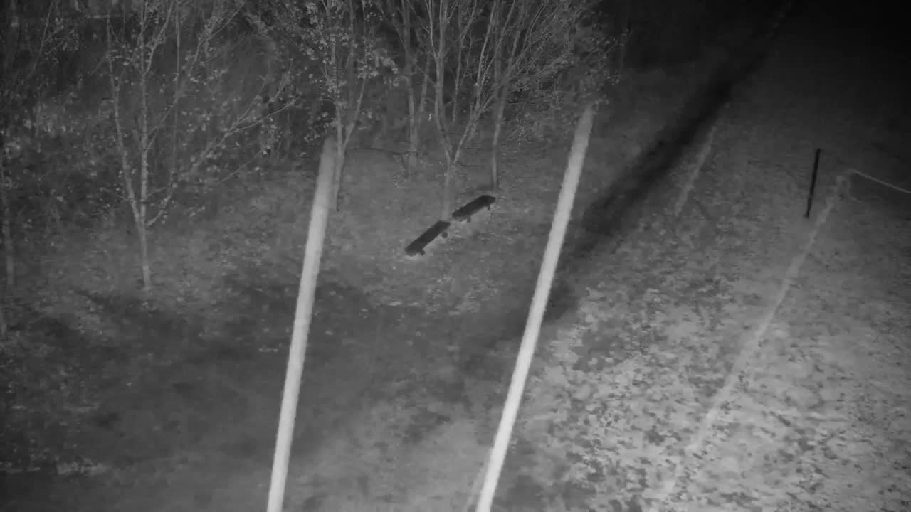 Webcam Ribnik Vrbje – Žalec