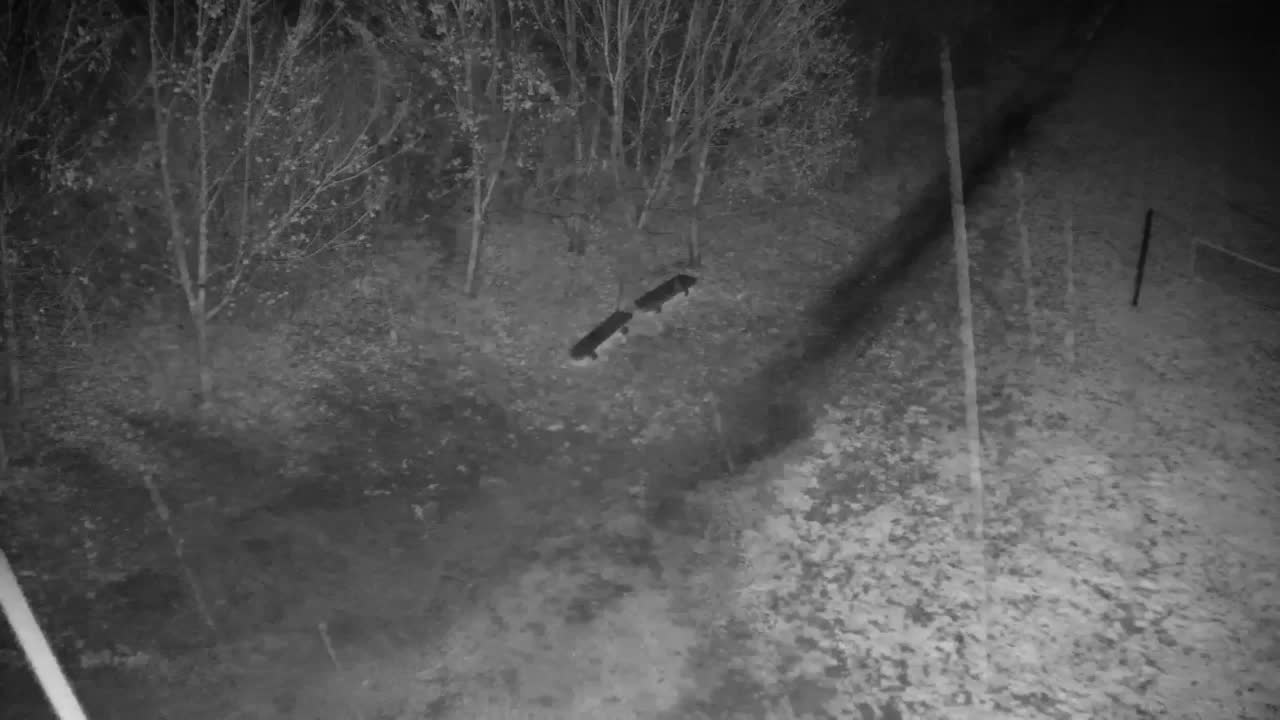 Webcam Ribnik Vrbje – Žalec