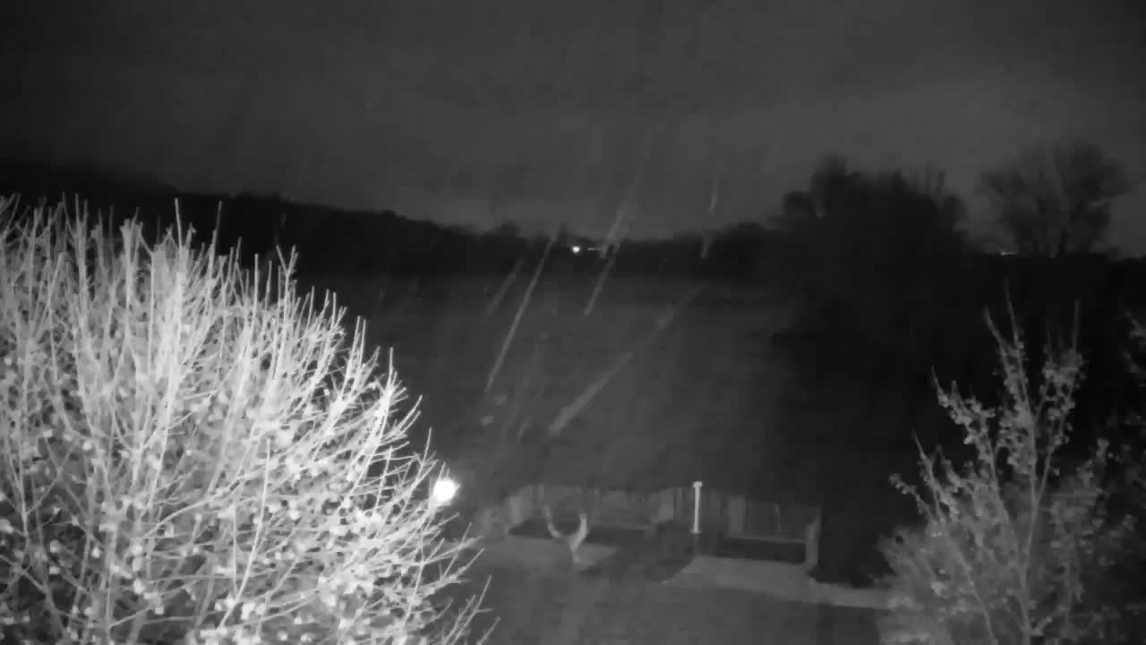 Webcam Ribnik Vrbje – Žalec