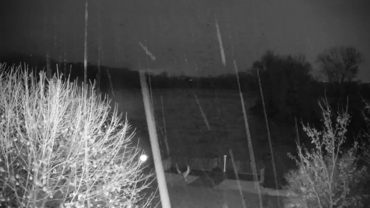 Webcam Ribnik Vrbje – Žalec