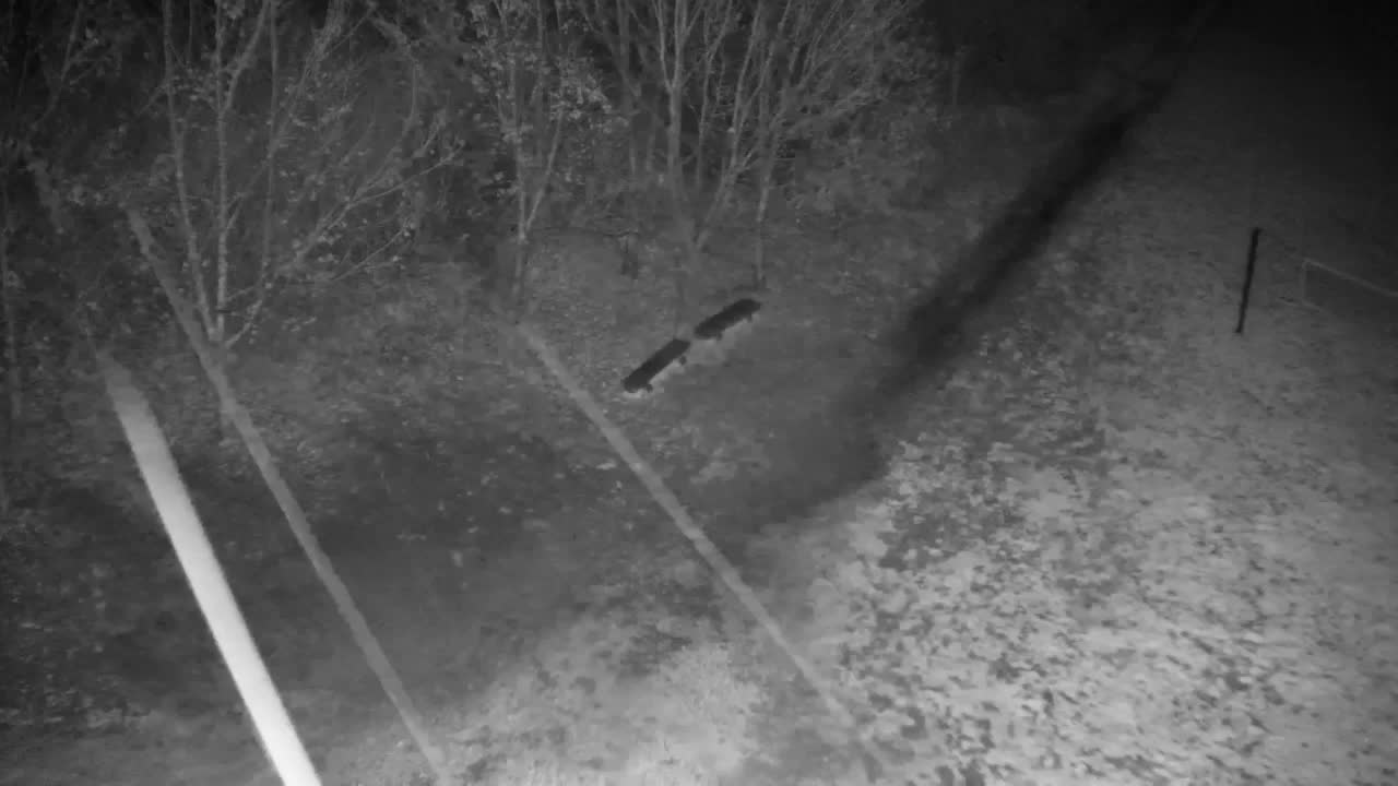 Webcam Ribnik Vrbje – Žalec