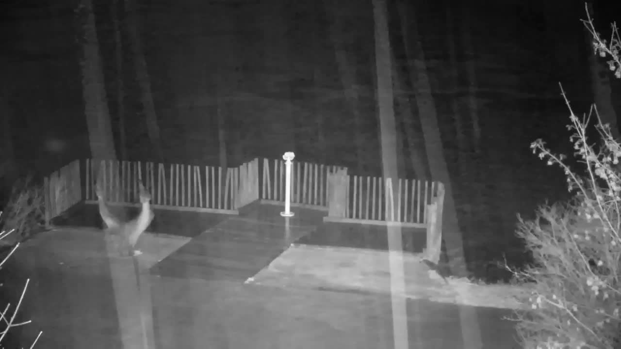 Webcam Ribnik Vrbje – Žalec