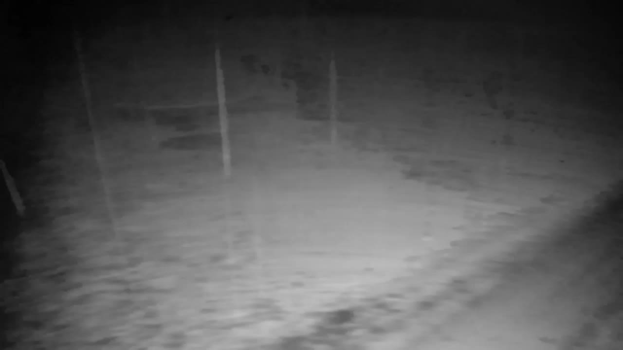 Web kamera Ribnik Vrbje – Žalec