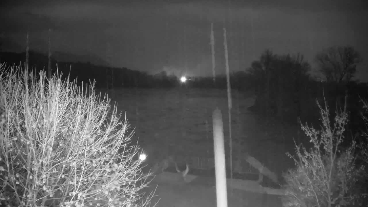 Webcam Ribnik Vrbje – Žalec