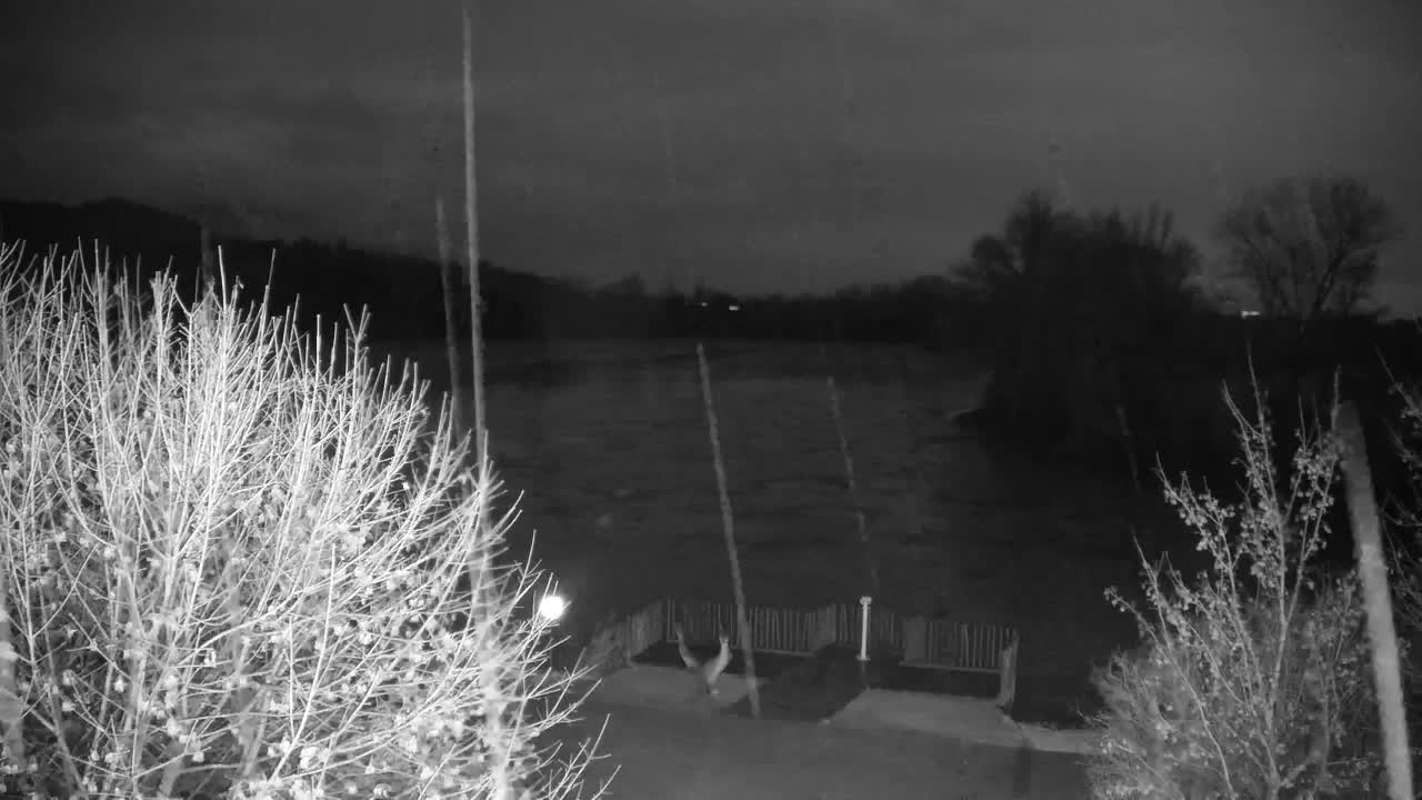 Webcam Ribnik Vrbje – Žalec