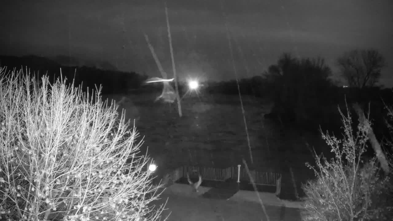 Spletna kamera Ribnik Vrbje – Žalec