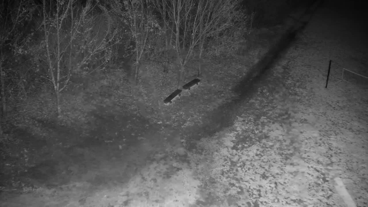 Webcam Ribnik Vrbje – Žalec