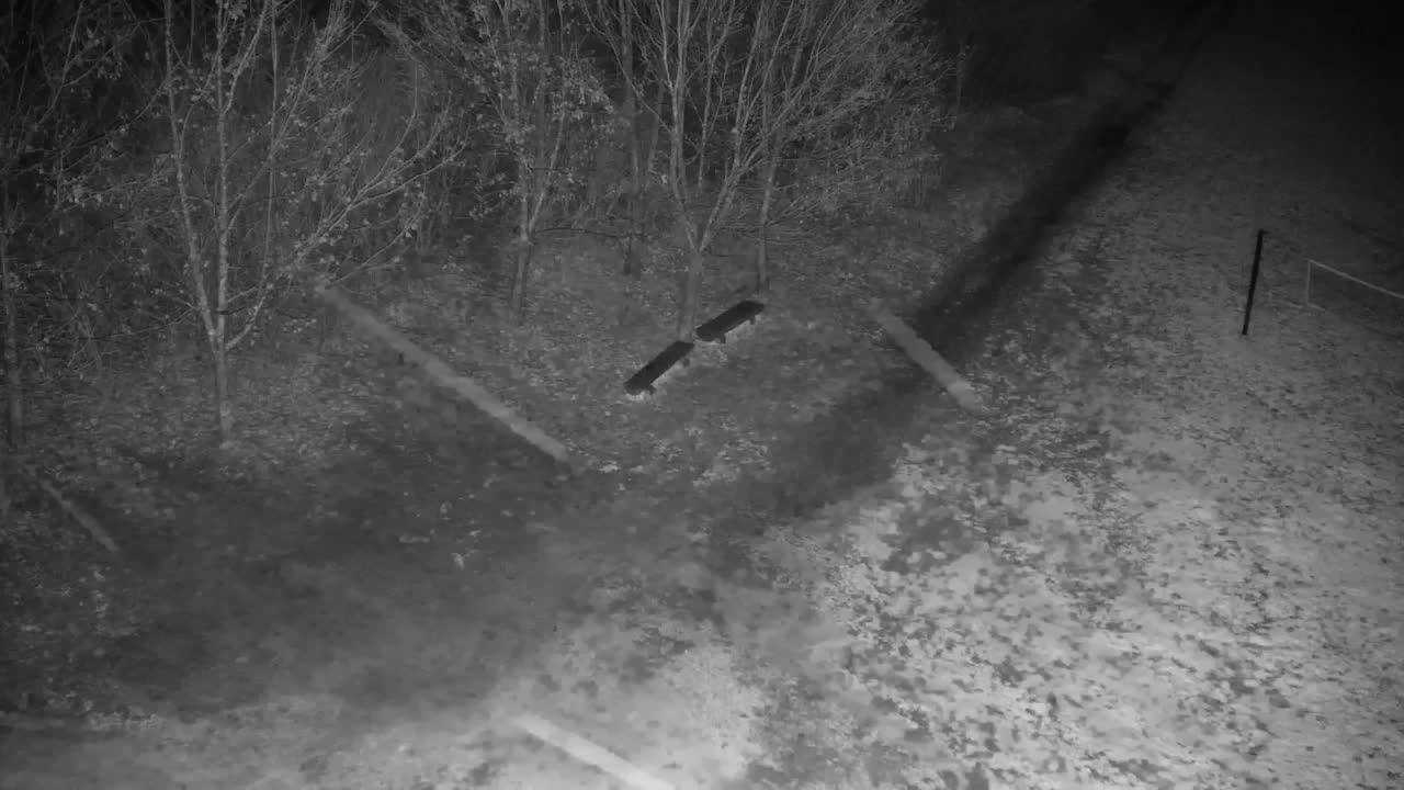 Webcam Ribnik Vrbje – Žalec