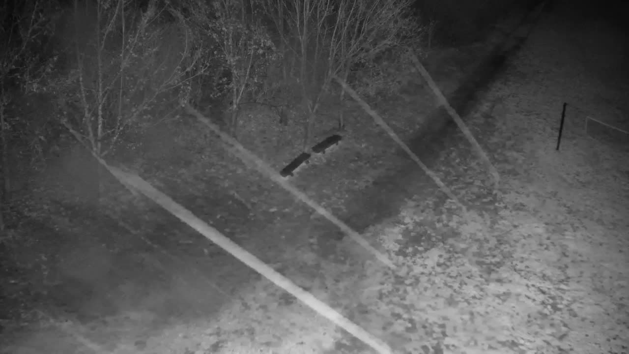 Webcam Ribnik Vrbje – Žalec