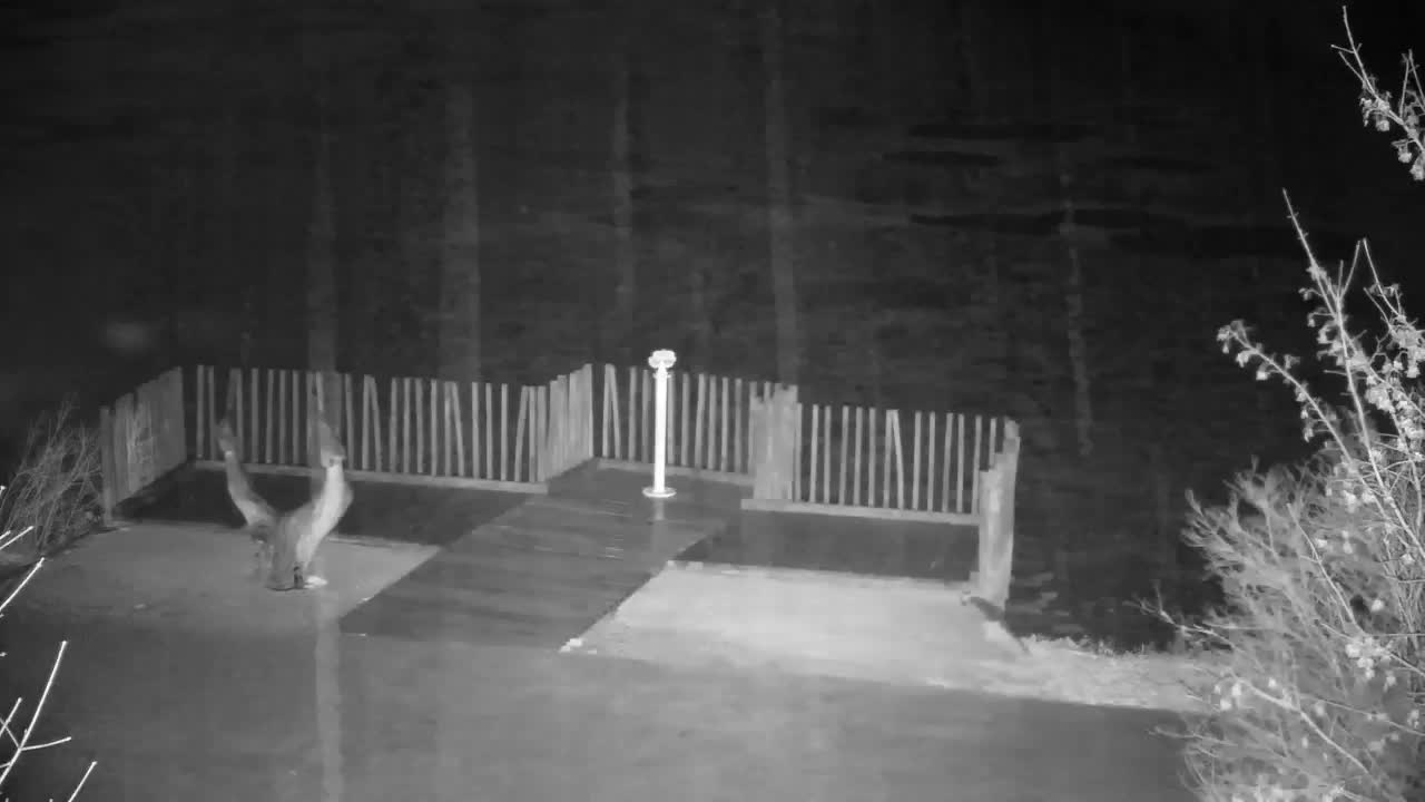 Webcam Ribnik Vrbje – Žalec