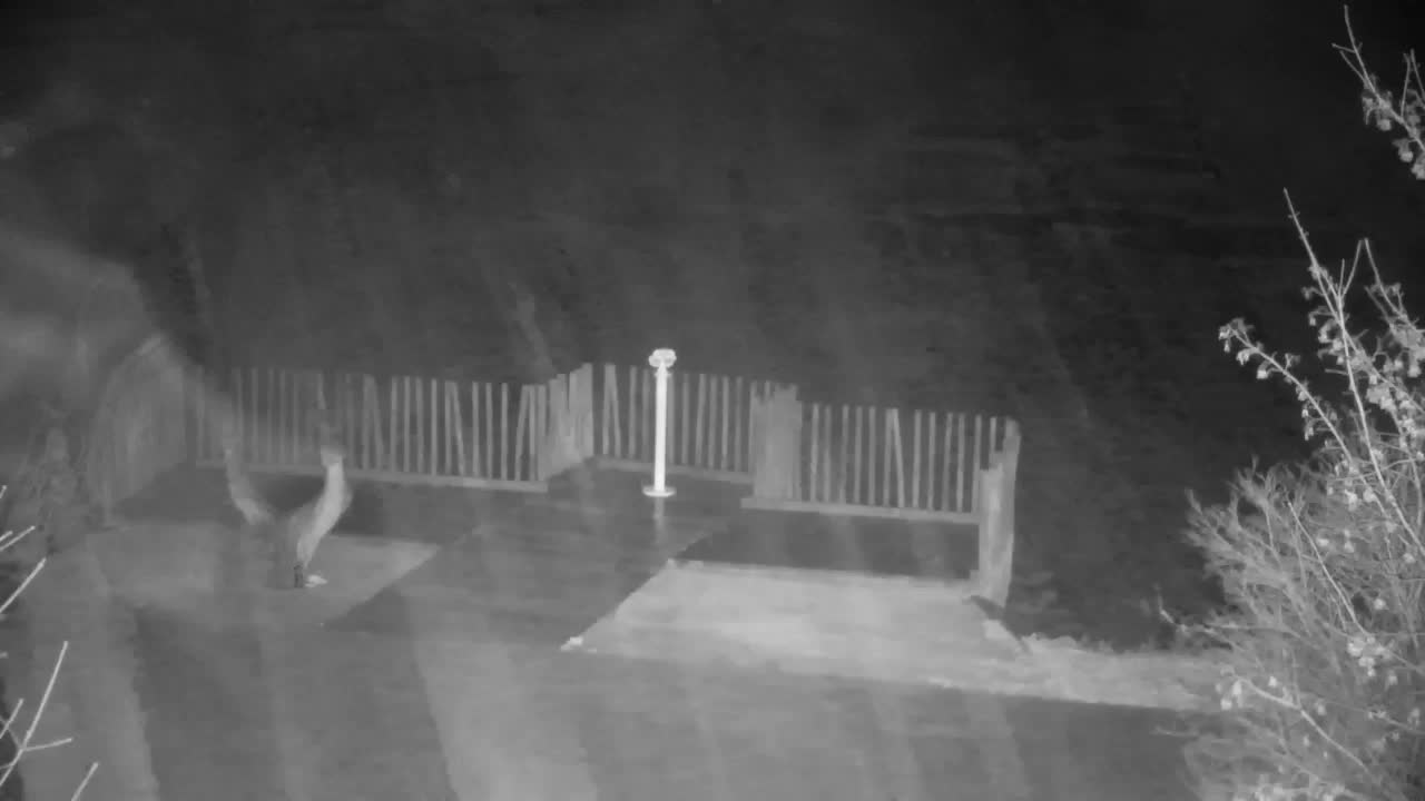 Webcam Ribnik Vrbje – Žalec