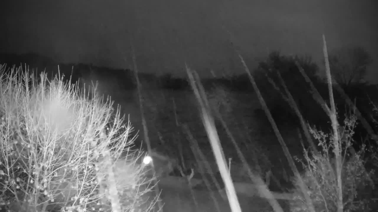 Webcam Ribnik Vrbje – Žalec