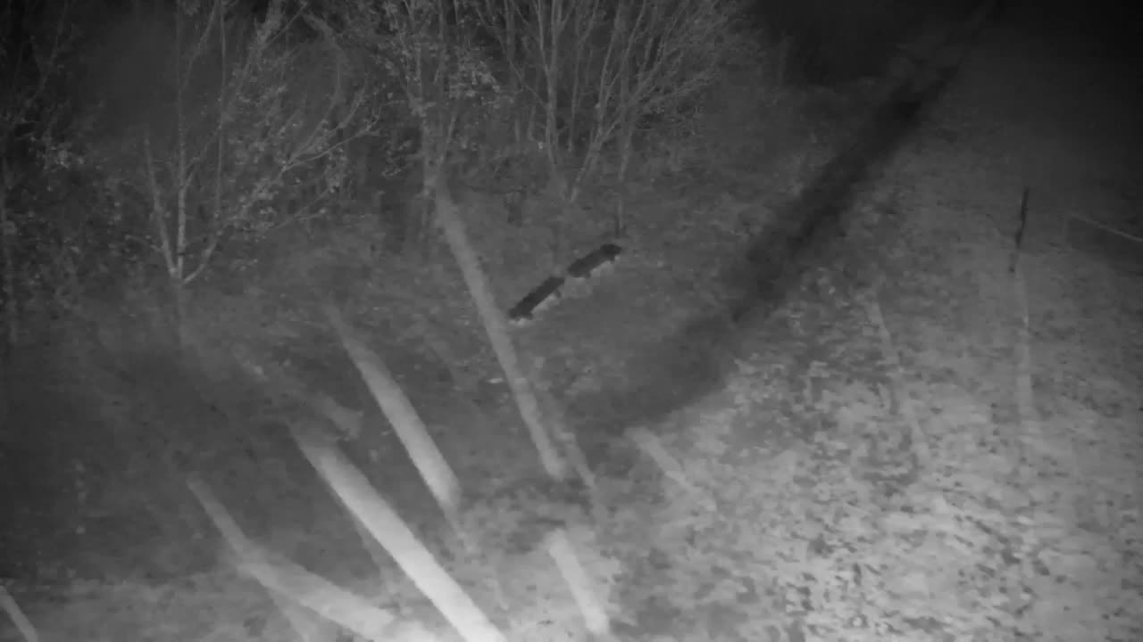 Spletna kamera Ribnik Vrbje – Žalec