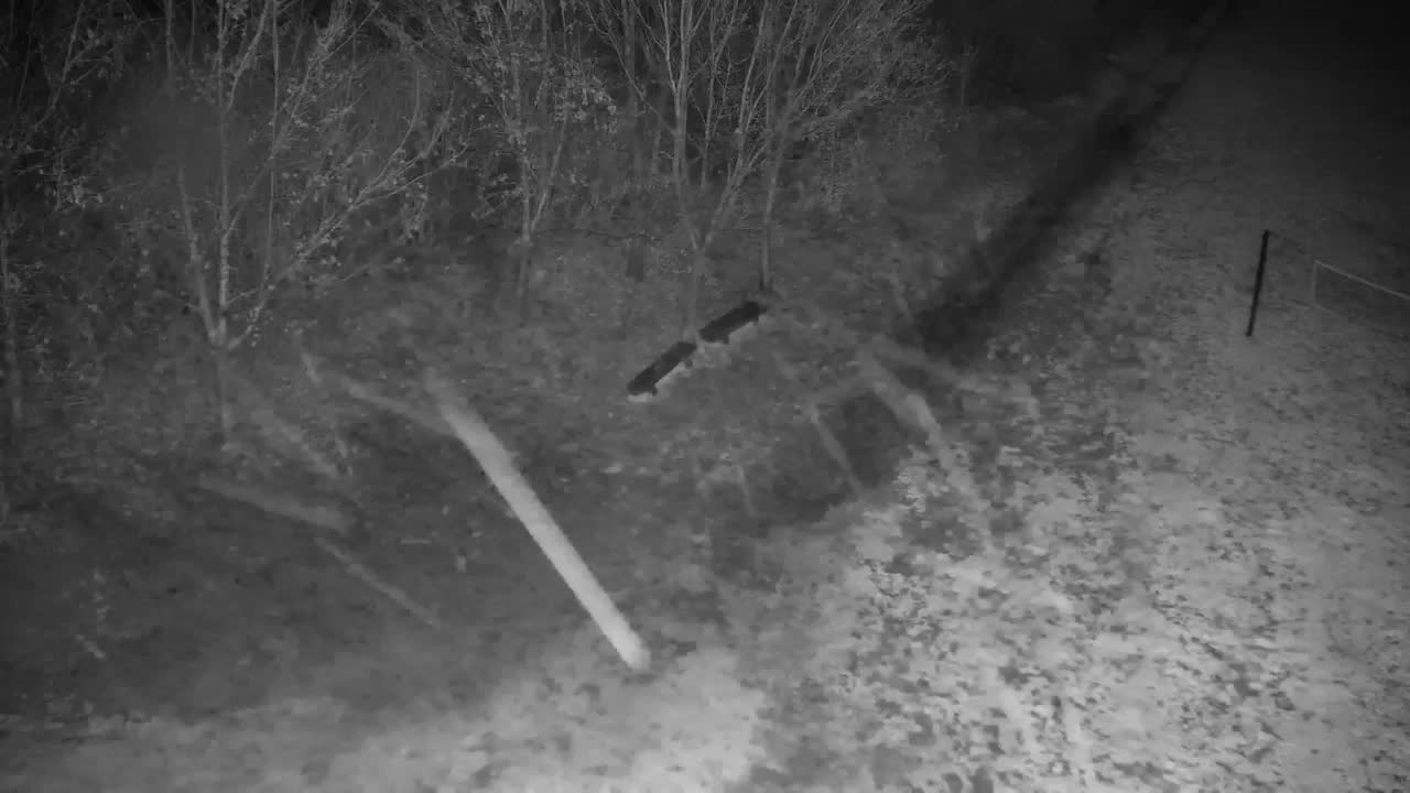 Webcam Ribnik Vrbje – Žalec