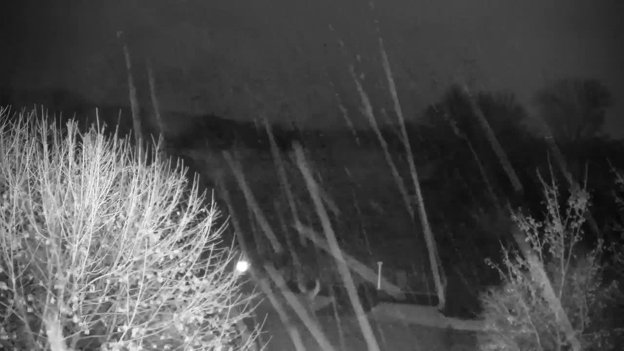 Webcam Ribnik Vrbje – Žalec