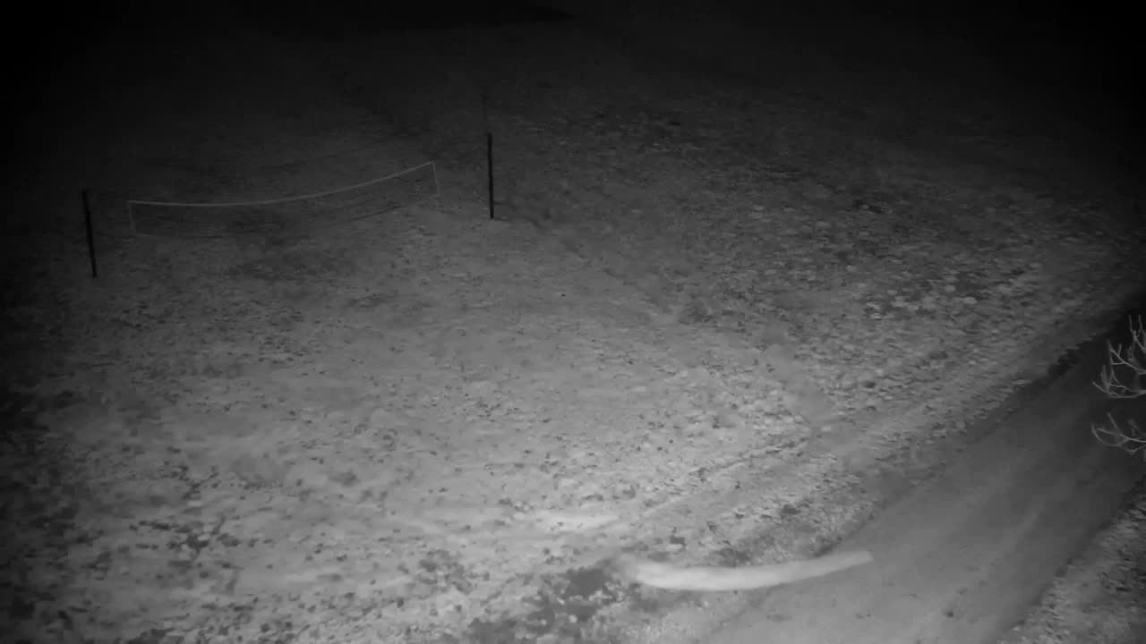 Webcam Ribnik Vrbje – Žalec