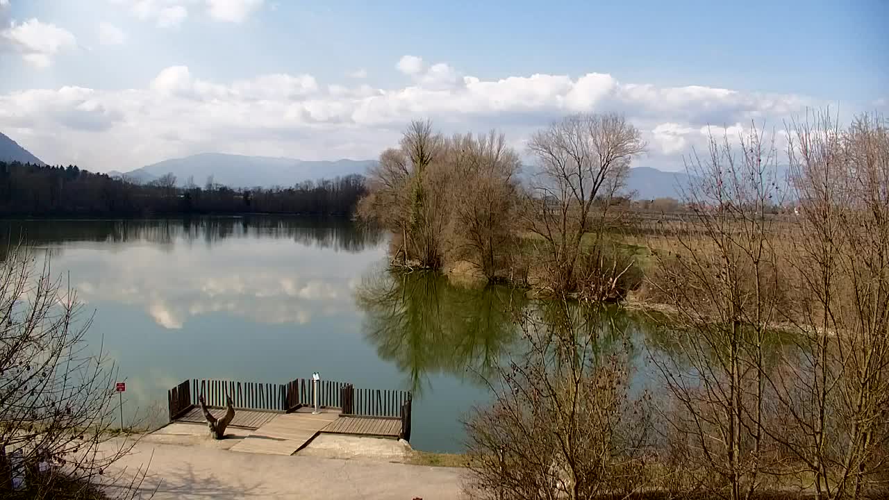 Webcam Ribnik Vrbje – Žalec