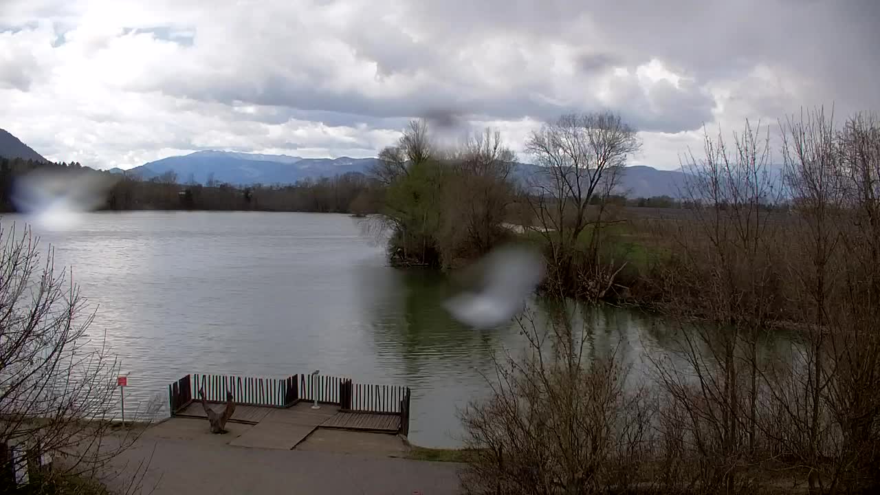 Webcam Ribnik Vrbje – Žalec