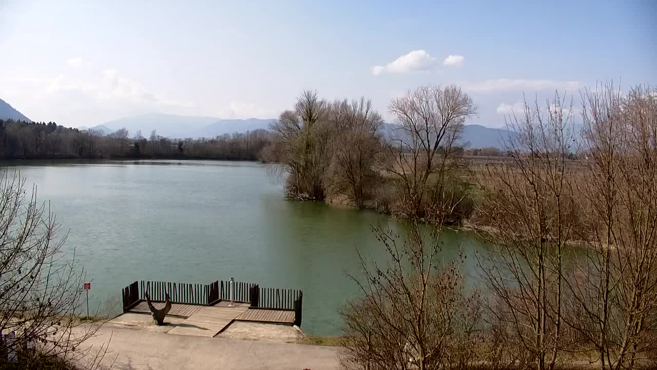 Spletna kamera Ribnik Vrbje – Žalec