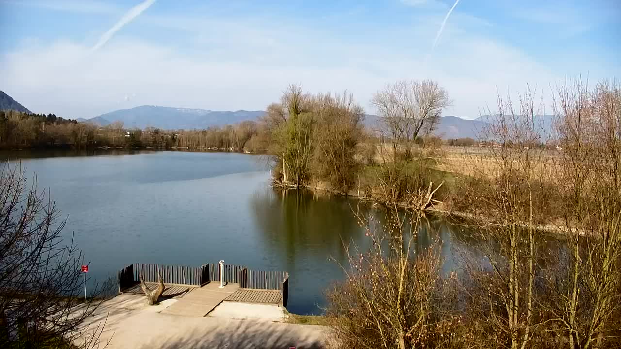 Webcam Ribnik Vrbje – Žalec