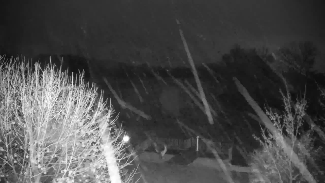 Webcam Ribnik Vrbje – Žalec