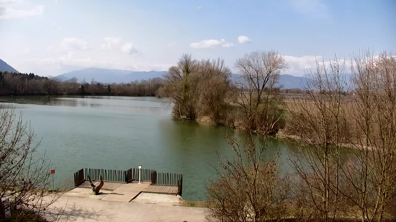 Webcam Ribnik Vrbje – Žalec