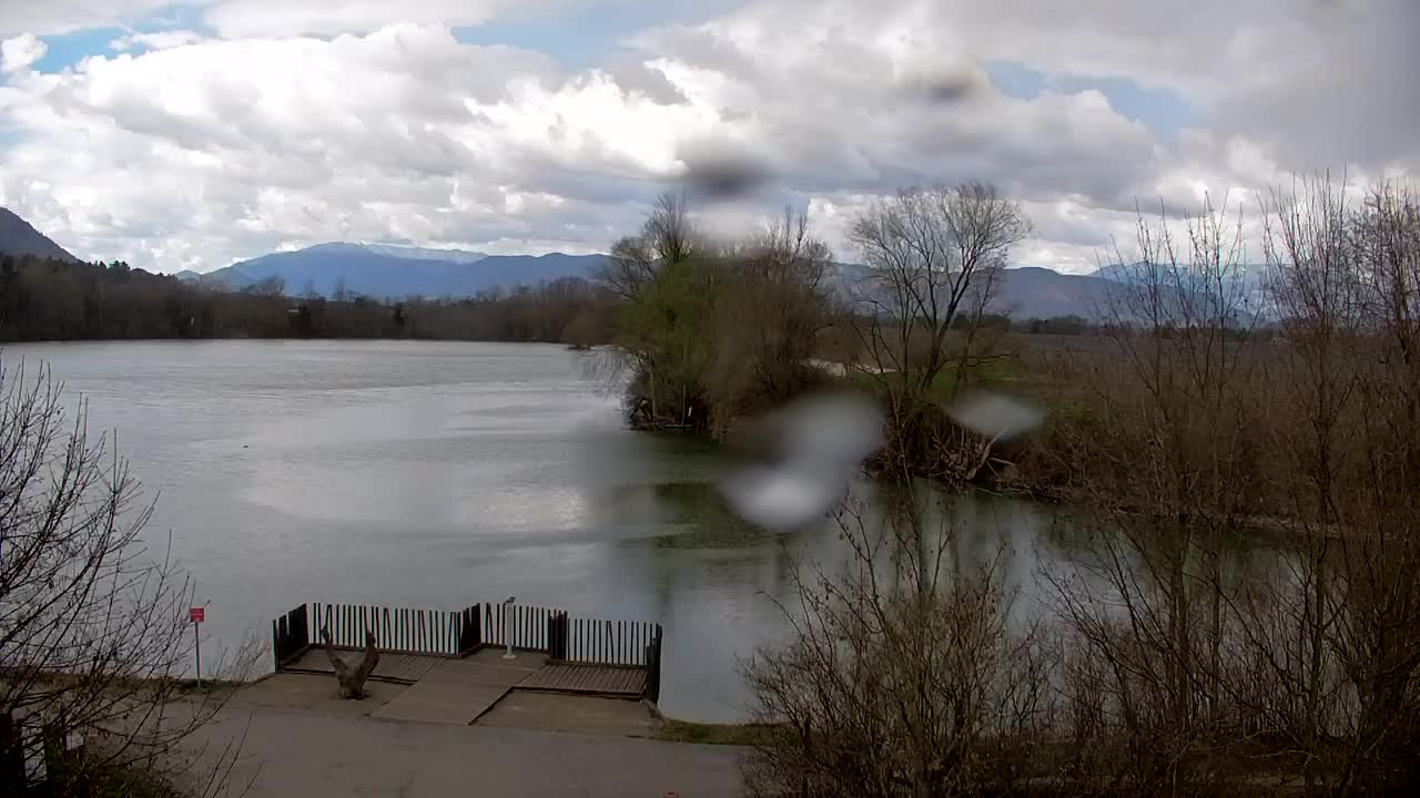 Webcam Ribnik Vrbje – Žalec