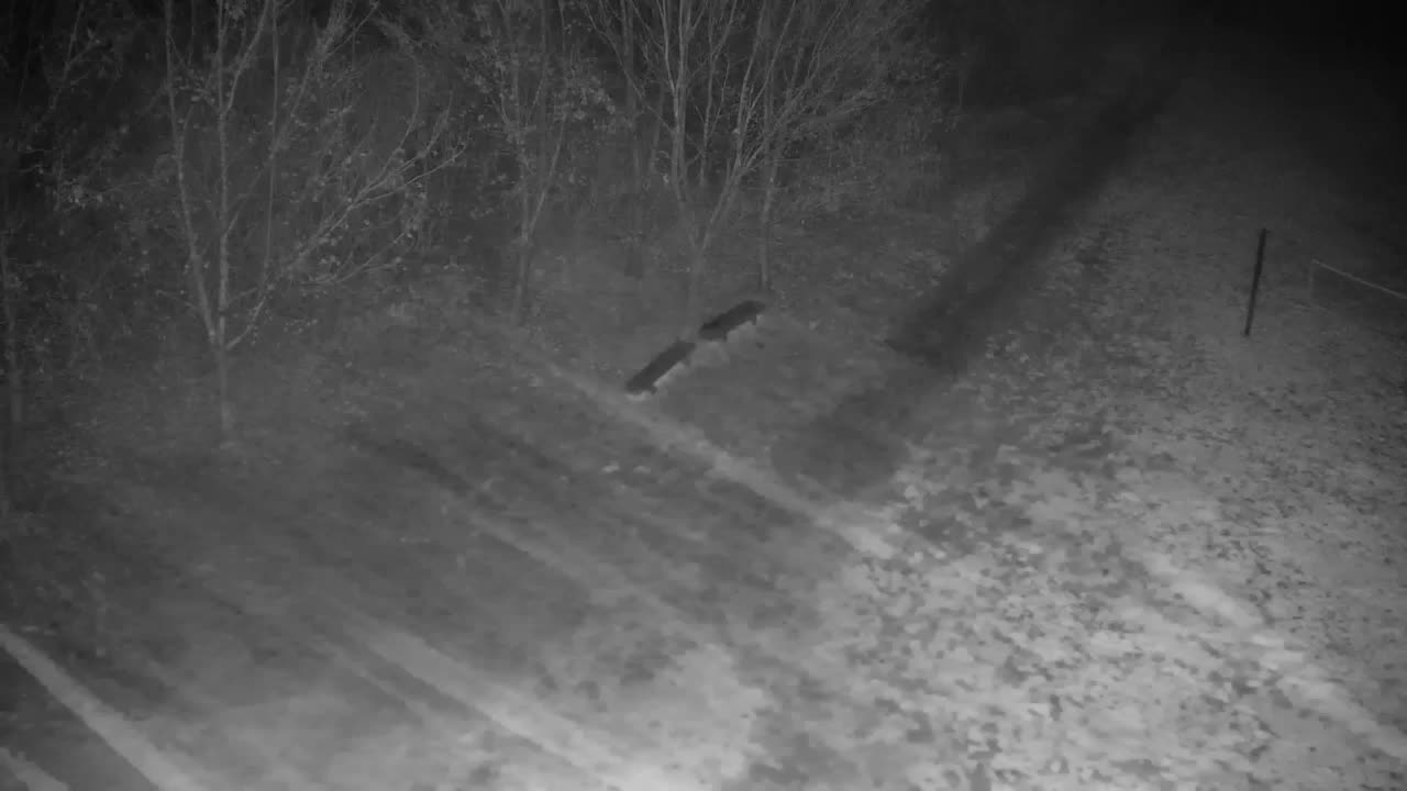 Spletna kamera Ribnik Vrbje – Žalec